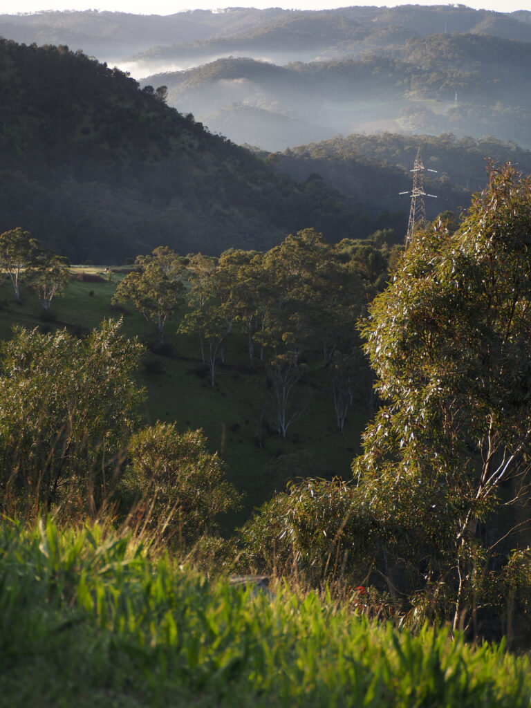 View from on top of a hill on the edges of metropolitan Adelaide early in the morning. There is mist over some of the hills in the distance.