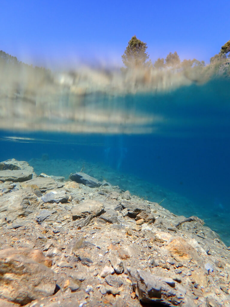 Partially submerged photograph of Highbury Quarry swimming area. A tree is just visible above the water.